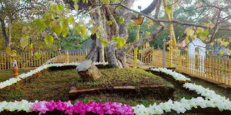 Anuradhapura & Aukana: Private Day Tour From Sigiriya - What Other Travelers Say