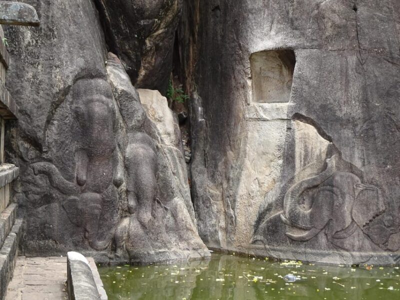 Anuradhapura & Aukana: Private Day Tour From Sigiriya - FAQ