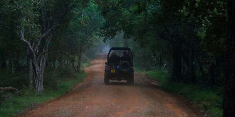 Anuradhapura: Wilpattu National Park Day Trip with entrance - Key Points