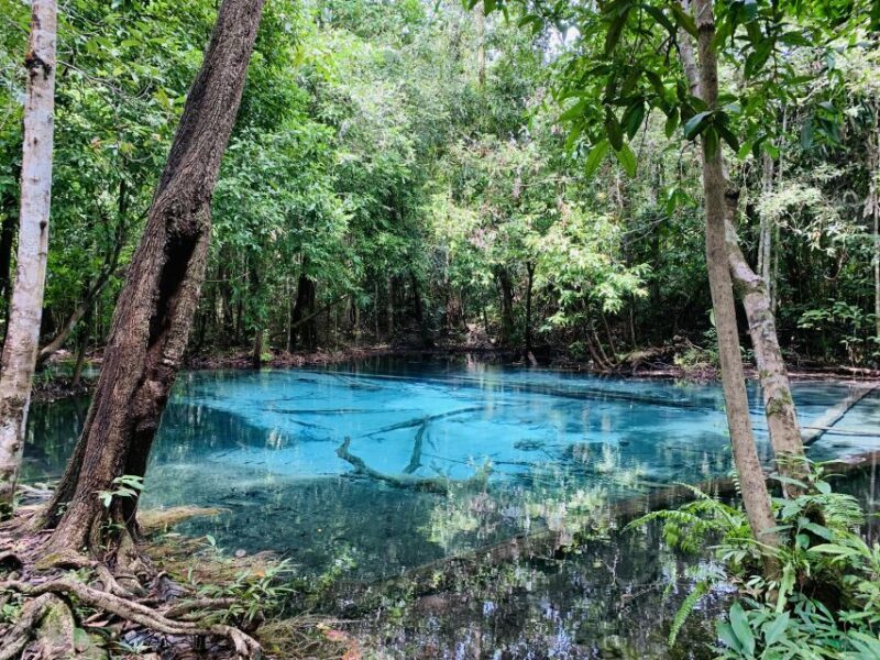 Ao Nang: Hot Spring, Emerald Pool & Tiger Cave Temple Tour - Potential Drawbacks and Considerations