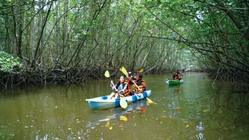 Ao Nang: Kayak Tour in Krabi Mangrove Forest with Lunch - The Experience and Its Value