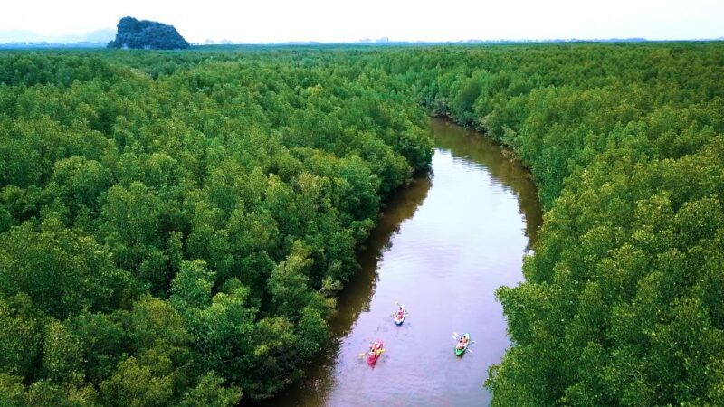 Ao Nang: Kayak Tour in Krabi Mangrove Forest with Lunch - Practical Tips for Your Trip