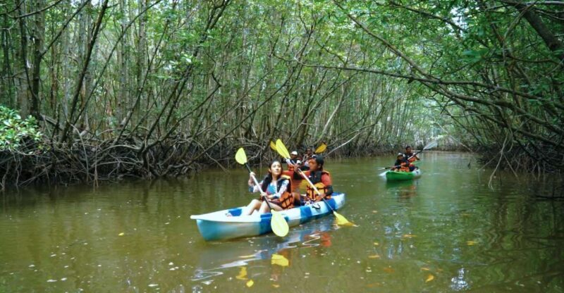 Ao Nang: Kayak Tour in Krabi Mangrove Forest with Lunch - Who Will Love This Tour?