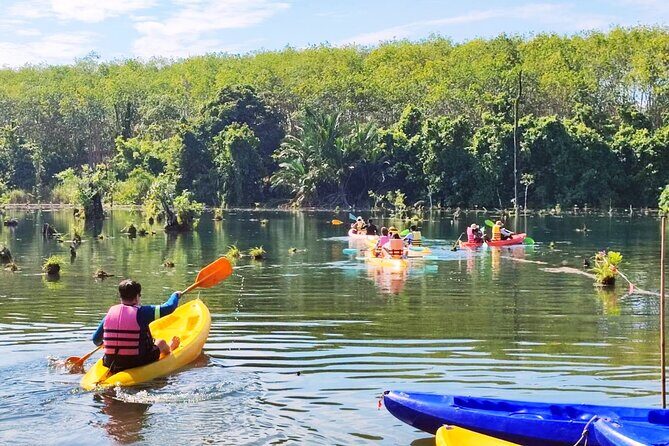 Ao Nang Kayaking at Klong Rud with Hotel Transfer - What to Expect from the Kayaking Experience