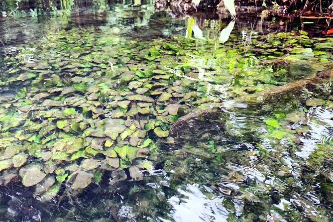 Ao Nang Kayaking at Klong Rud with Hotel Transfer - Who’s This Tour Best For?