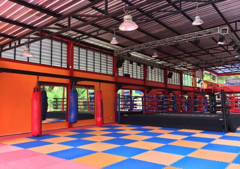 Ao Nang, Krabi: 90-Minute Muay Thai Lesson - Who Will Enjoy This Experience?