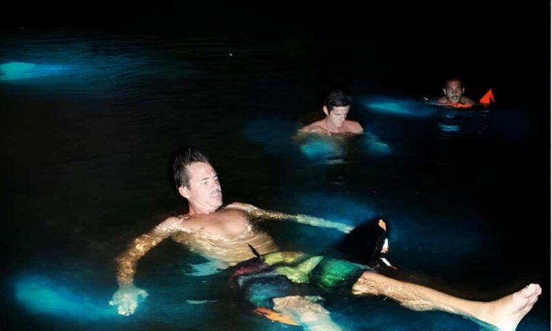 Ao Nang Night Tour Swim with bioluminescent plankton - Key Points