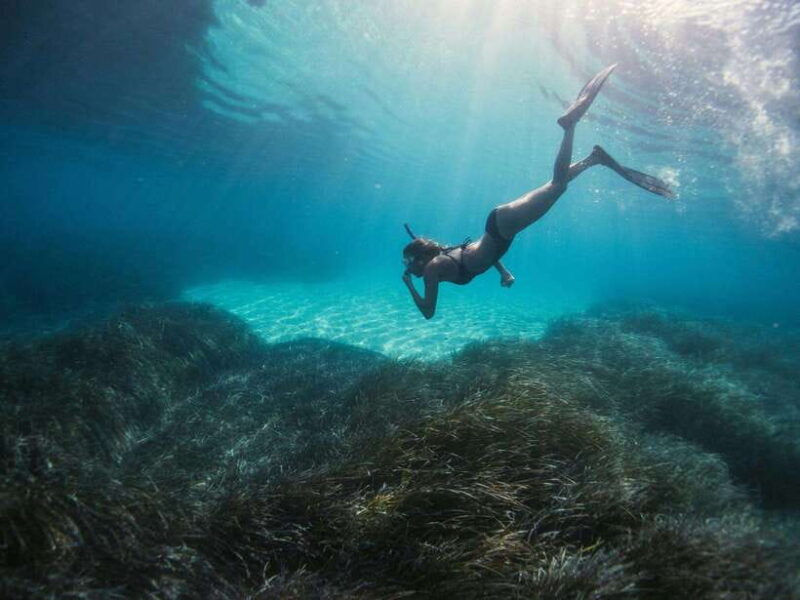 Ao Nang: Premium 4 Islands Snorkeling Tour by Speedboat - Key Points