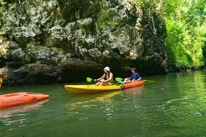 Ao Thalane Kayaking Mangrove Forests Adventure from Krabi - Practical Tips for Travelers
