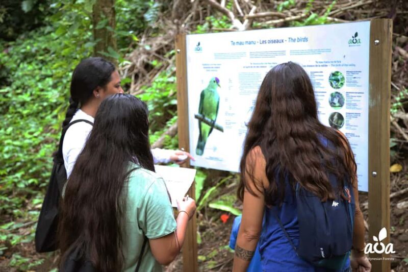 AOA Polynesian Forests - Educational Forest and Scavenger Hunt, Tahiti, West Coast - Key Points