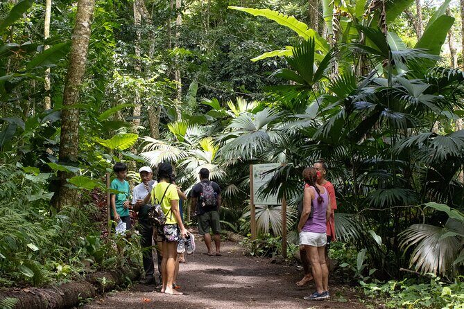 AOA Polynesian Forests - Educational Forest and Tahitian Trail Game DE - Key Points