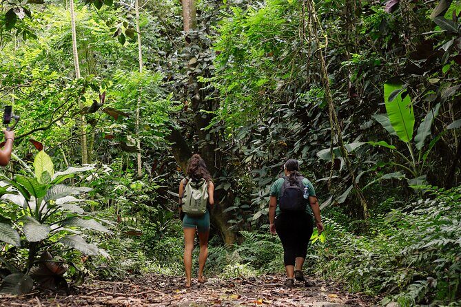 AOA Polynesian Forests - Hiking Sanctuary Biodiversity Tahiti - Key Points