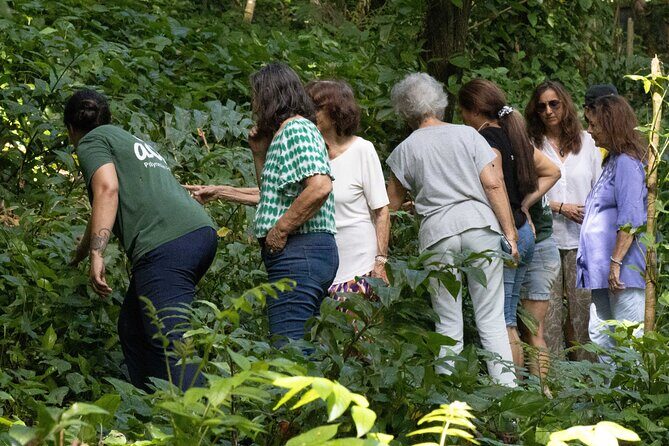 AOA Polynesian Forests - Hiking Sanctuary Biodiversity Tahiti - Supporting Conservation and Community Development