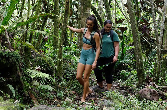 AOA Polynesian Forests - Hiking Sanctuary Biodiversity Tahiti - Practical Details: Logistics, Cost, and Value