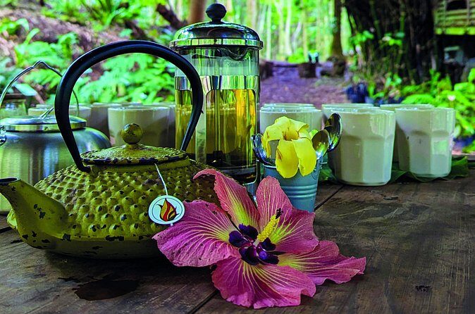 AOA Polynesian Forests - Hiking Sanctuary Biodiversity Tahiti - What Travelers Say