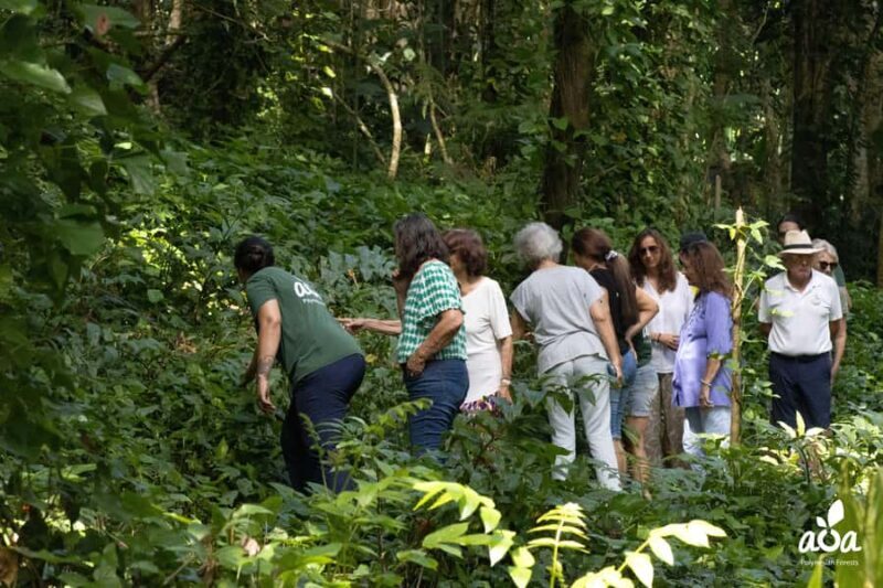 AOA Polynesian Forests - Tahiti Biodiversity Sanctuary Hike - A Detailed Look at the Experience