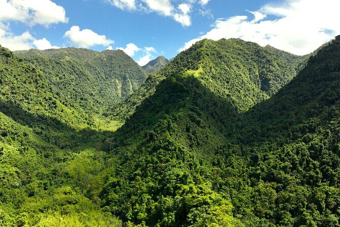 AOA Polynesian Forests - Tahiti Nature Immersion Day - Key Points