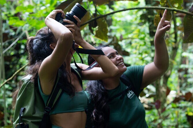 AOA Polynesian Forests - Tahiti Nature Immersion Day - Exploring the Tahiti Nature Immersion Day Itinerary