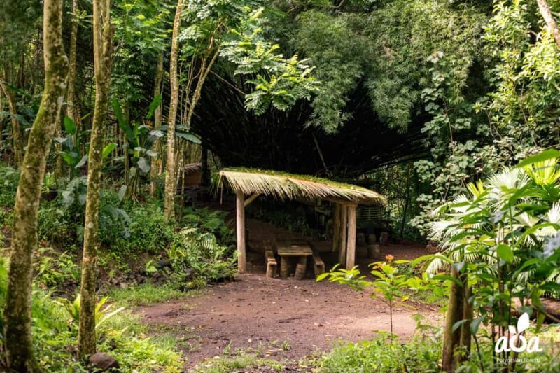 AOA Polynesian Forests - Tahiti Nature Immersion Day - Final Thoughts