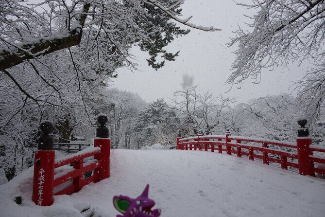 Aomori Private Customizable 6-Hour Tour - Practical Details and Value