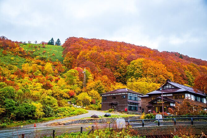 Aomori Private Customizable Full Day Tour - Key Points