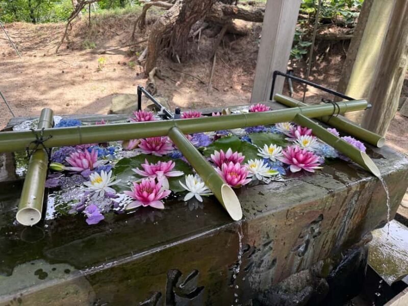 Aomori: Takayama Inari Shrine and Jomon Museum Tour - An In-Depth Look at the Tour