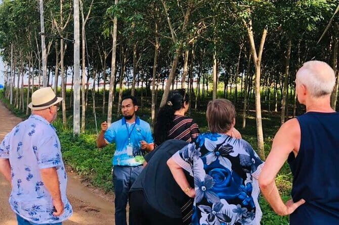 Aonang Cultural Exploration on Temple, Market and Thai Visit - Key Points