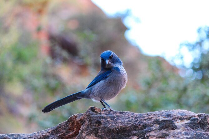 Apache Trail Private Half-Day Tour - In Closing