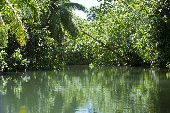 Apetahi day trip around Raiatea on a modern outrigger canoe - FAQ