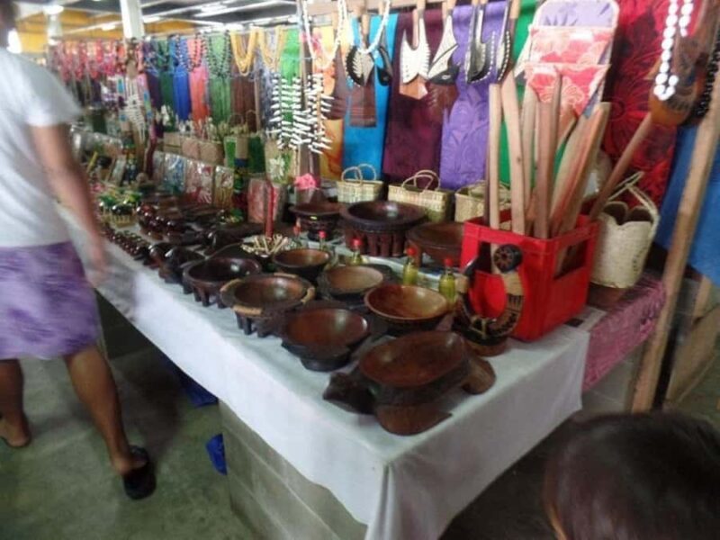 Apia: Half-Day Sightseeing and History Tour - The Sum Up: Who Should Consider This Tour?