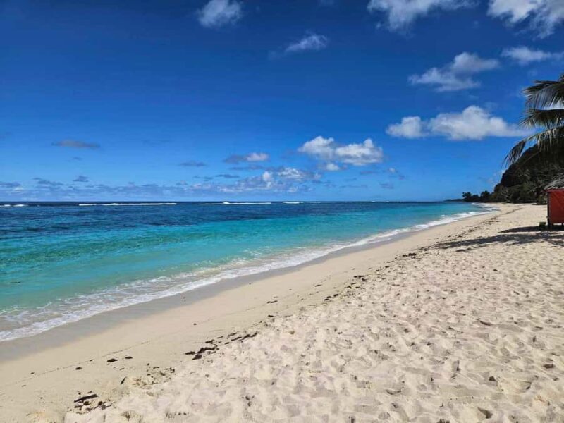 Apia Port: Cruise Guests Shore Excursion - Who Should Consider This Tour?