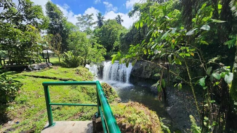 Apia: Upolu Island Full-Day Tour with a Local Guide - An Overview of the Experience