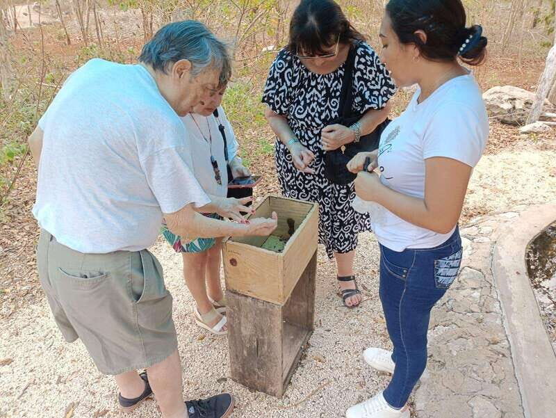 Apiary Tour (Bee tour) also Archeological site and salt Pond - A Full Breakdown of the Apiary Tour Experience