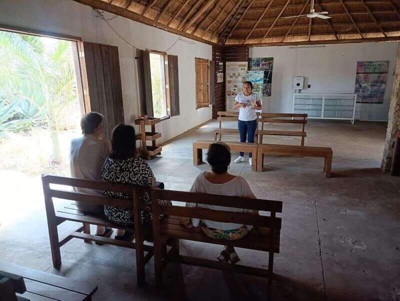 Apiary Tour (Bee tour) also Archeological site and salt Pond - Why This Tour Offers Real Value