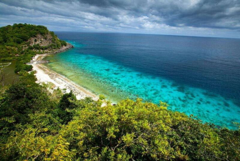 Apo Island Wonders: Snorkel with Sea Turtles in Dumaguete - Key Points