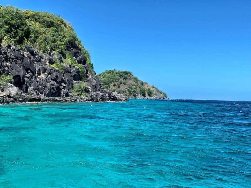 Apo Island Wonders: Snorkel with Sea Turtles in Dumaguete - An In-Depth Look at the Tour Experience