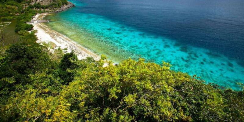Apo Island Wonders: Snorkel with Sea Turtles in Dumaguete - Frequently Asked Questions