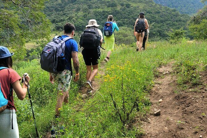 Apoala Magic Waterfalls Hike and Swim Adventure - Authentic Experiences and Reviews