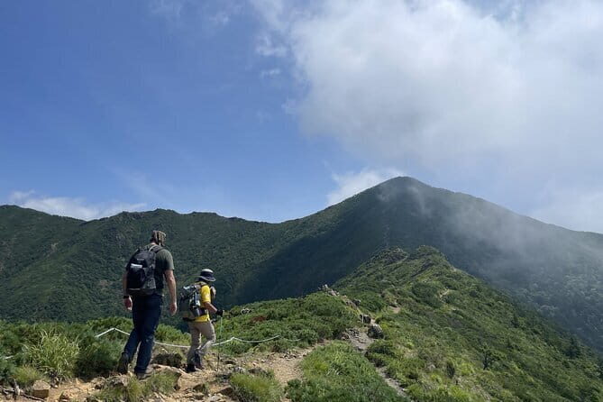 Apoi-dake Private Hiking with Guided Commentary - What Does the Price Cover?
