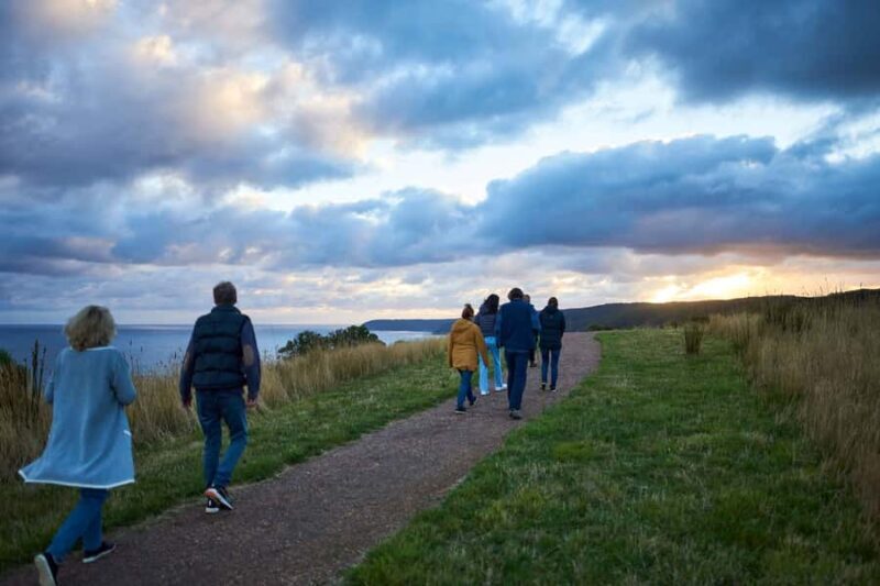 Apollo Bay: Dusk Discovery Great Ocean Road Wildlife Tour - Who Should Consider This Tour?
