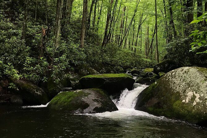 Appalachian Waterfalls Hike - Key Points