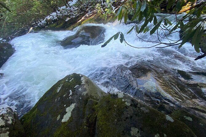 Appalachian Waterfalls Hike - An In-Depth Look at the Appalachian Waterfalls Hike