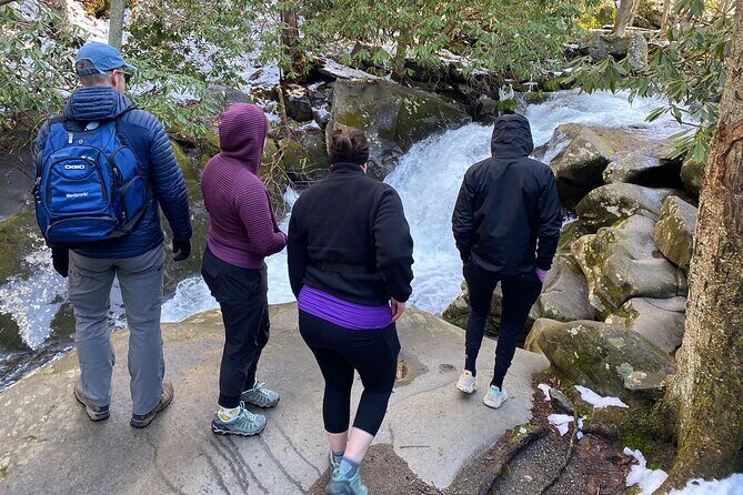 Appalachian Waterfalls Hike - Practical Tips for Participants