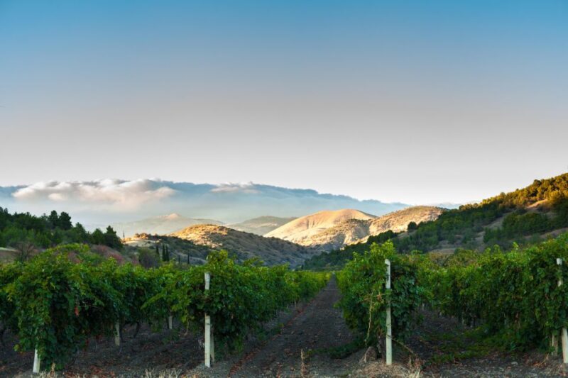 Apple Hill/Carson Road Digital Wine Tasting Passport - The Itinerary: How Your Day (or Days) Might Look