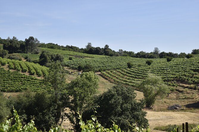Apple Hill Wine Tasting Tours And Placerville wine tasting tours - An Introduction to the Tour