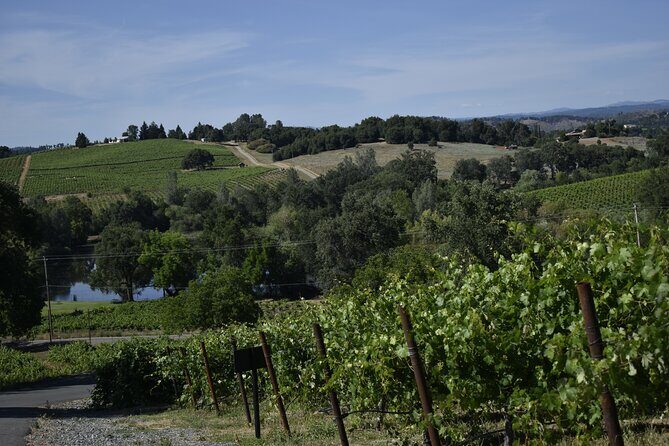 Apple Hill Wine Tasting Tours And Placerville wine tasting tours - Safety and COVID-19 Measures