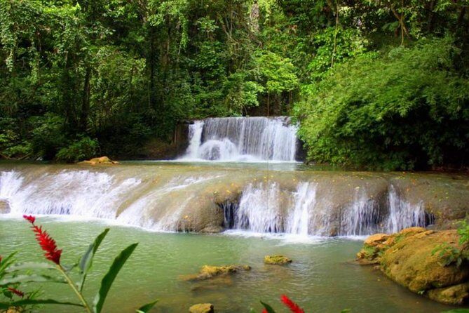 Appleton Estate, Ys Falls and Black River Safari Private Tour - Practical Details and Tips