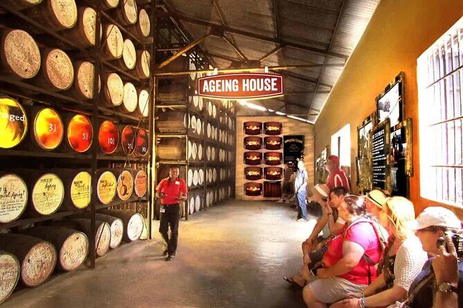 Appleton Estate, Ys Falls and Black River Safari Private Tour - FAQ