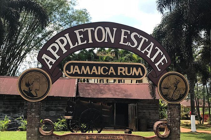 Appleton Rum Factory, YS Falls, and Reggae Horseback Ride & Swim Combo Tour - Authenticity, Food, and Cultural Flavor