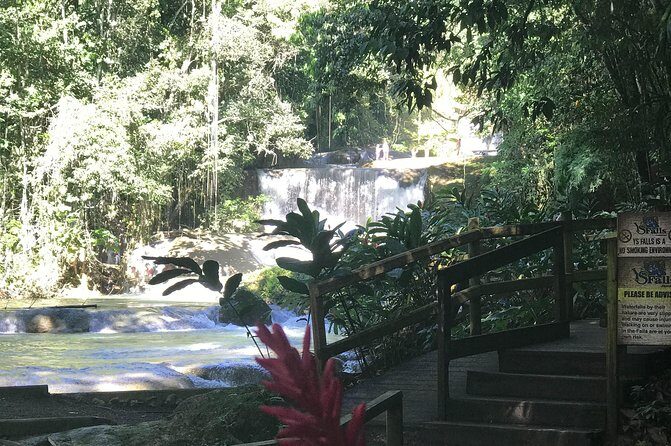 Appleton Rum Factory, Ys Falls, Black River Safari, Floyds Pelican Bar - FAQ